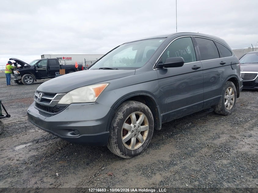 Vin: 5j6re4h35bl801727, lot: 3123451, honda cr-v lx 20113