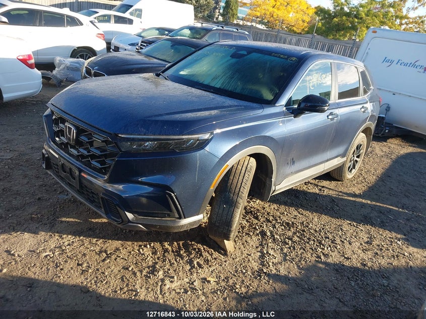Vin: 2hkrs6h7xsh202405, lot: 3123614, honda cr-v exl 20252