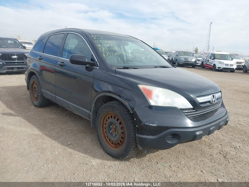 2009 Honda Cr-V Exl, Left Rear, IAAI, VIN 5J6RE48709L811353