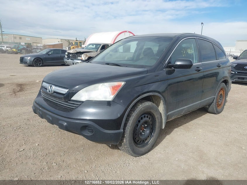 2009 Honda Cr-V Exl, Left Rear, IAAI, VIN 5J6RE48709L811353 — photo 2