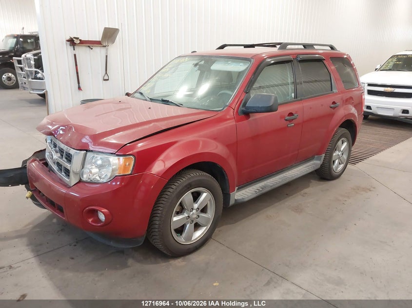 Vin: 1fmcu0d72akd14498, lot: 3123735, ford escape xlt 20102