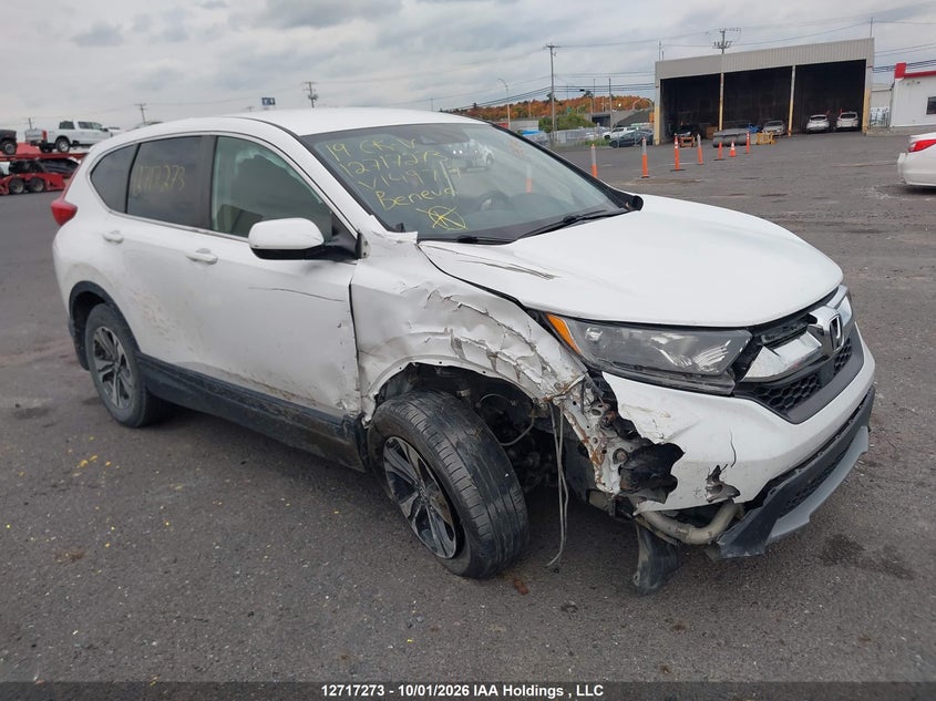 Vin: 2hkrw2h22kh149717, lot: 3124079, honda cr-v lx 2019 img_1