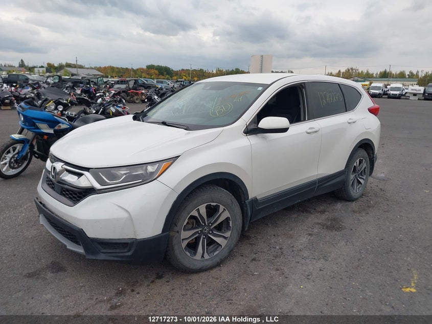 Vin: 2hkrw2h22kh149717, lot: 3124079, honda cr-v lx 20192