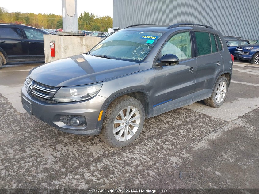 2013 Volkswagen Tiguan S/Se/Sel, Water, IAAI, VIN WVGJV7AX8DW533917 — photo 2