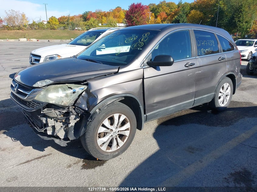Vin: 5j6re4h31al800461, lot: 3124577, honda cr-v 20102