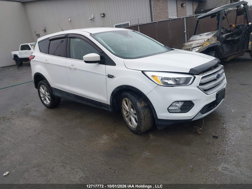 2019 Ford Escape Se, Front, IAAI, VIN 1FMCU9GD6KUC16649