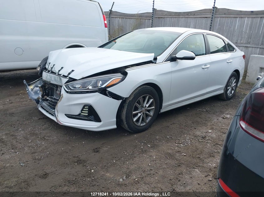 Vin: 5npe24af7kh783981, lot: 3125108, hyundai sonata essential 20192
