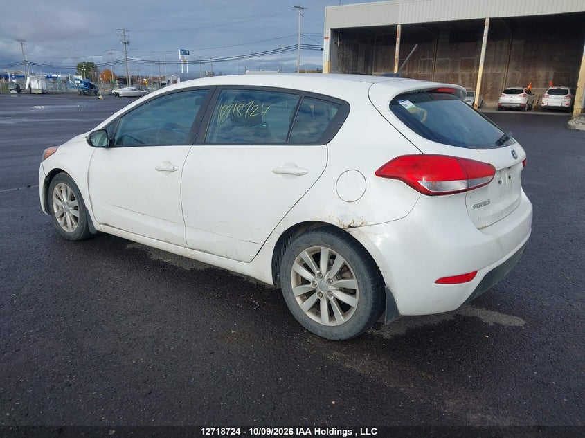 Vin: knafk5a83g5656273, lot: 3125650, kia forte lx 20163