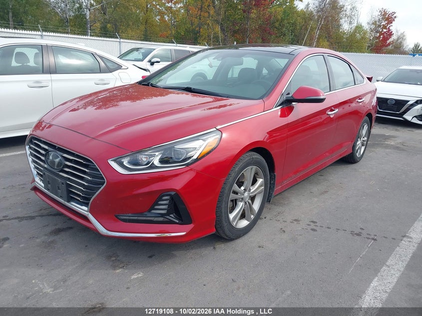 2019 Hyundai Sonata Luxury, Rear, IAAI, VIN 5NPE34AF8KH748542 — photo 2