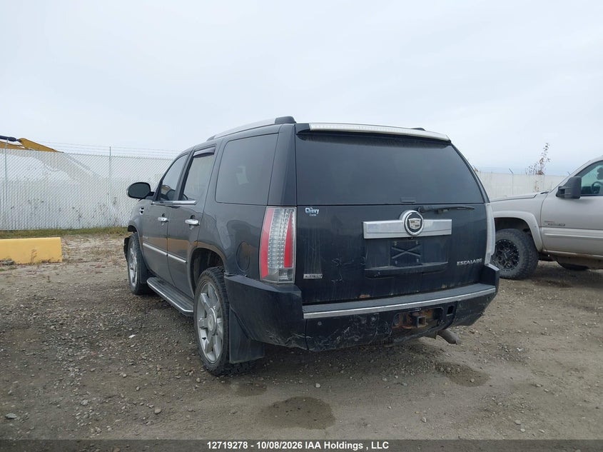 Vin: 1gys4bef7br336355, lot: 3126271, cadillac escalade luxury 20113