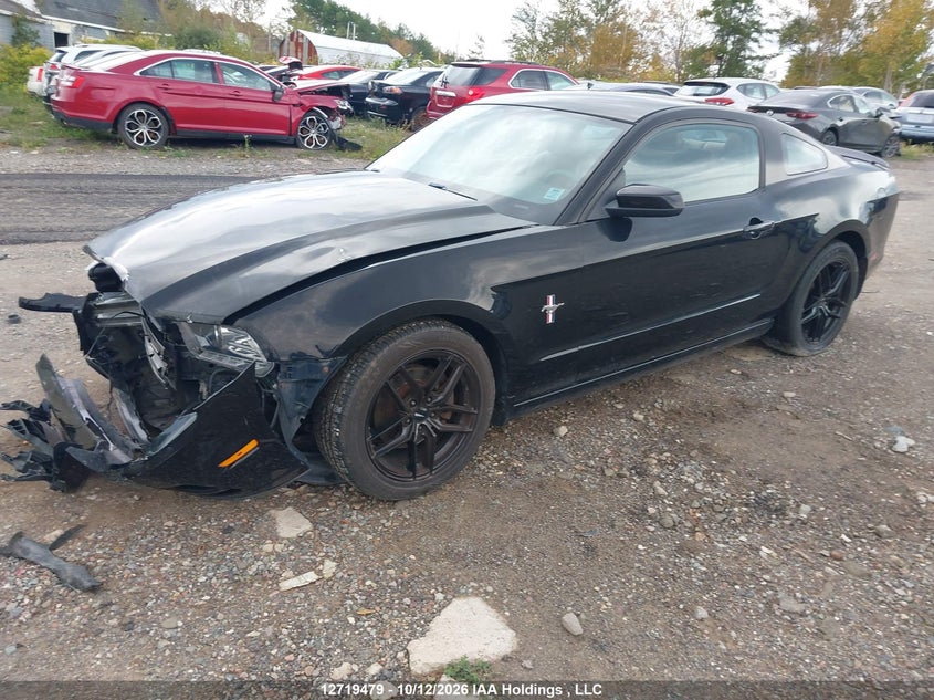 Vin: 1zvbp8am9d5207027, lot: 3126479, ford mustang 20132