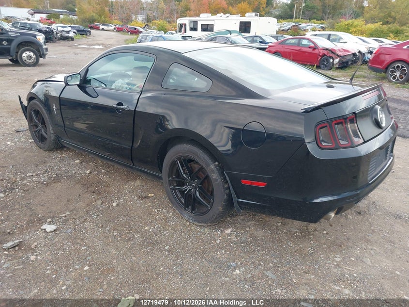 Vin: 1zvbp8am9d5207027, lot: 3126479, ford mustang 20133