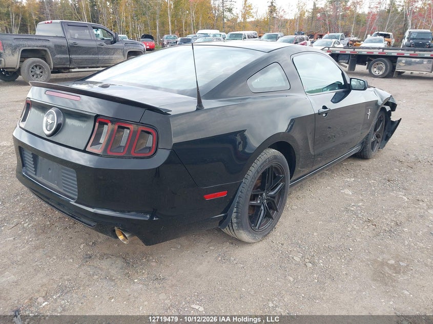 Vin: 1zvbp8am9d5207027, lot: 3126479, ford mustang 20134