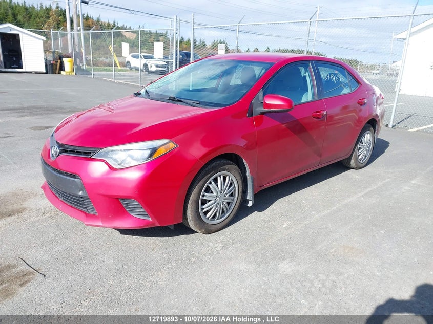 Vin: 2t1burhe2gc603307, lot: 3126914, toyota corolla le 20162