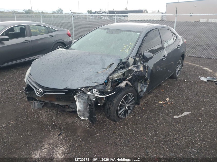 Vin: 2t1burhe3gc531288, lot: 3127462, toyota corolla le 20162