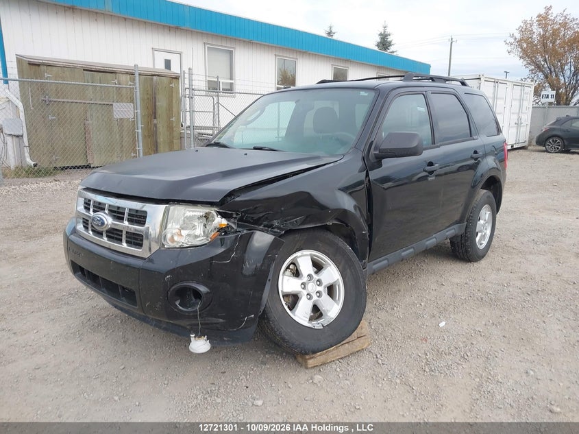 Vin: 1fmcu0d71cka11098, lot: 3128433, ford escape xlt 20122