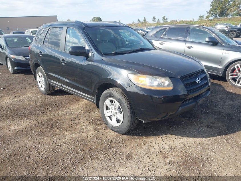 2009 Hyundai Santa Fe, Charity, IAAI, VIN 5NMSG13D69H256391
