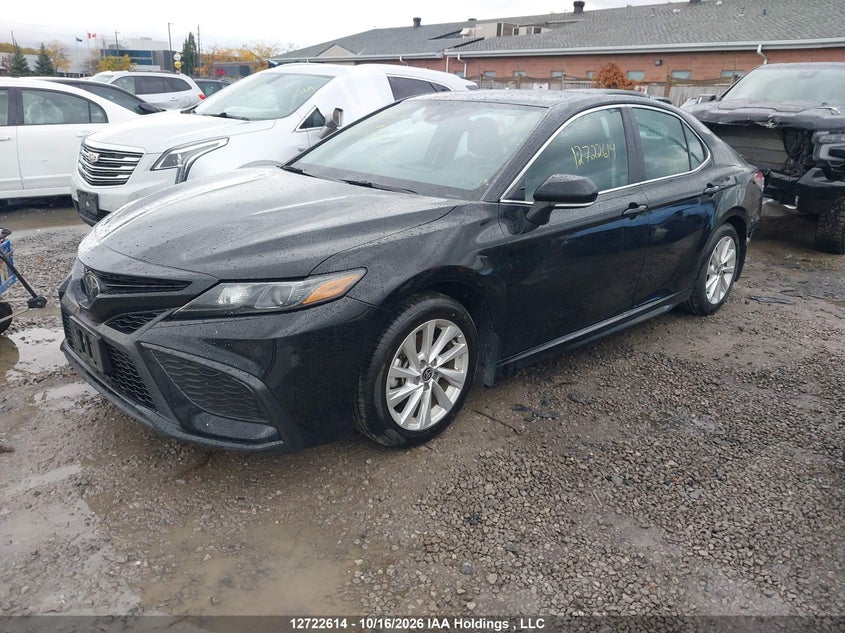 Vin: 4t1g11ak2ru253663, lot: 3129827, toyota camry se night shade/se 20242