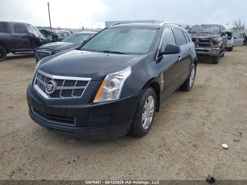 Vin: 3gyfndey6bs587084, lot: 3130126, cadillac srx luxury collection 20112