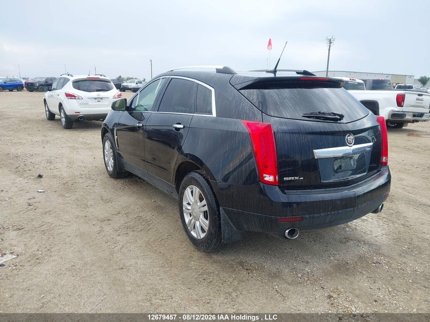 Vin: 3gyfndey6bs587084, lot: 3130126, cadillac srx luxury collection 20113