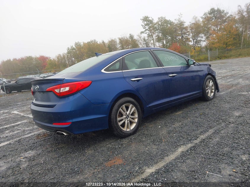 Vin: 5npe24af9gh294568, lot: 3130510, hyundai sonata gls 20164