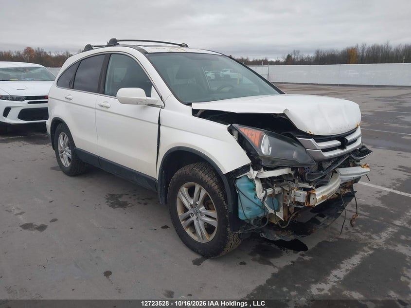 Vin: 5j6re4h79al807161, lot: 3130833, honda cr-v exl 2010 img_1