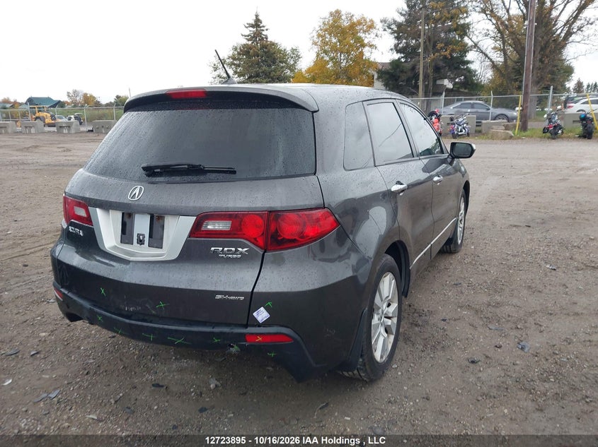 Vin: 5j8tb1h50aa800713, lot: 3131204, acura rdx 20104