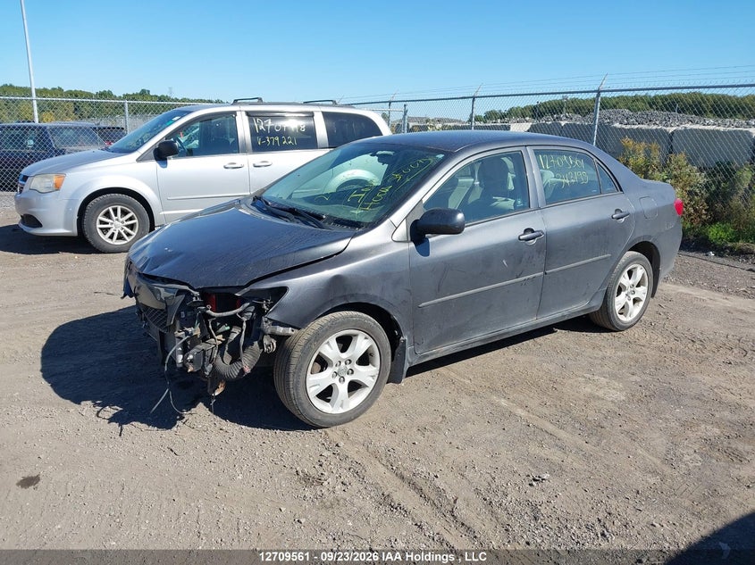 Vin: 2t1bu4ee8ac343199, lot: 3131280, toyota corolla ce 20102
