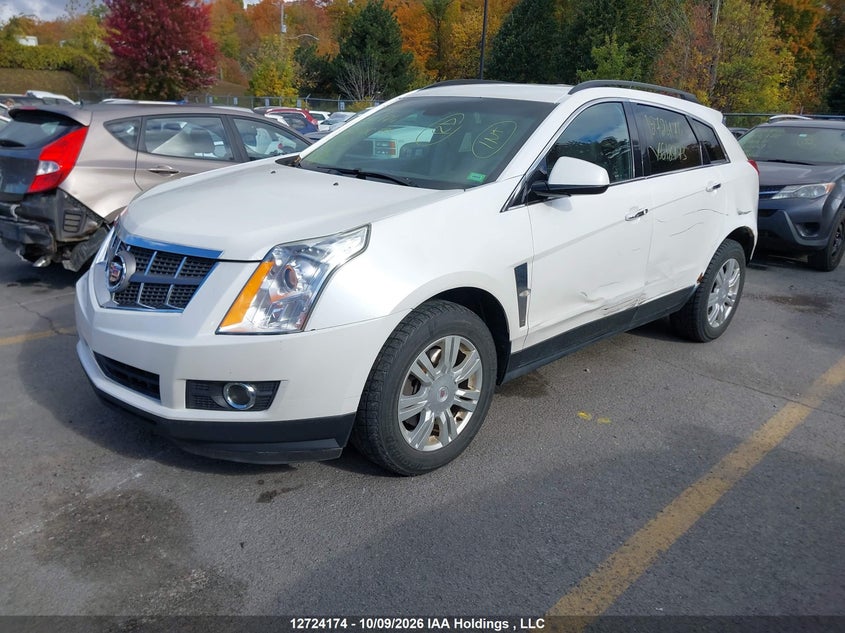 2012 Cadillac Srx, Левый бок, IAAI, VIN 3GYFNGE30CS618773 — фото 2