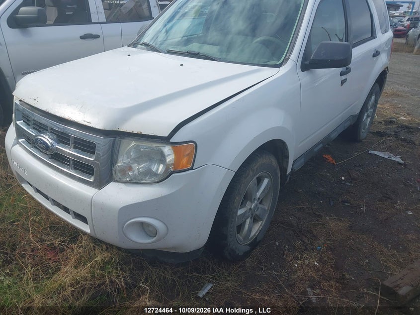 Vin: 1fmcu0d70ckb58710, lot: 3131861, ford escape xlt 20122
