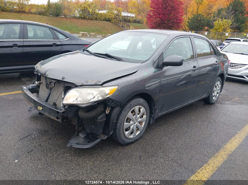 Vin: 2t1bu4ee5ac407117, lot: 3131976, toyota corolla s/le/xle 20102