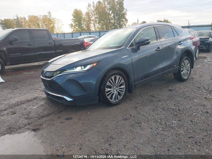 Vin: jteaaaah3mj002610, lot: 3132123, toyota venza xle 20212