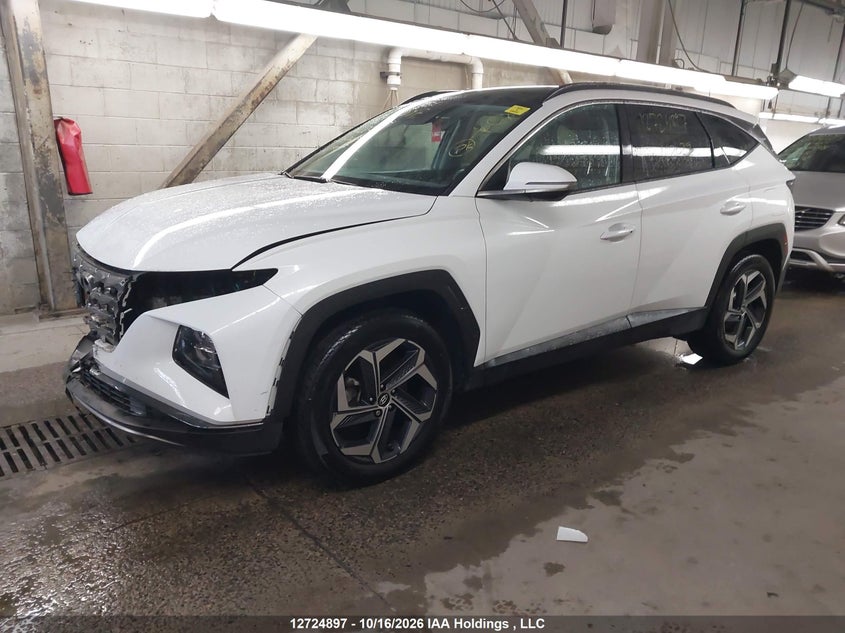 2024 Hyundai Tucson, Frame, IAAI, VIN KM8JCCD14RU168029 — photo 2