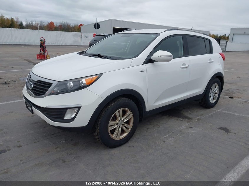 2011 Kia Sportage, Благотворительность, IAAI, VIN KNDPBCA29B7093069 — фото 2