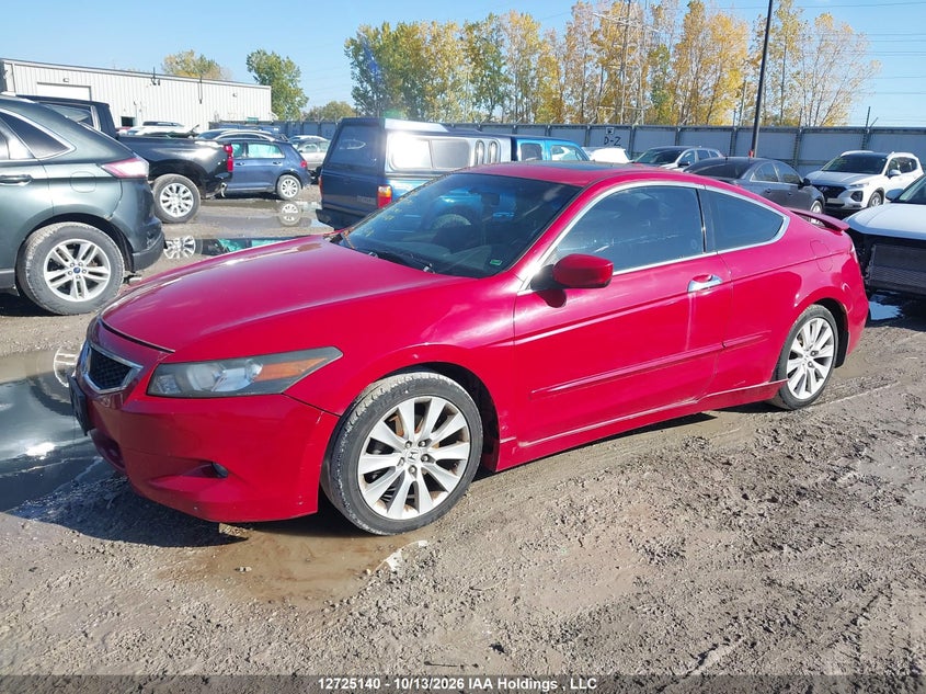  Accord Ex-L V6