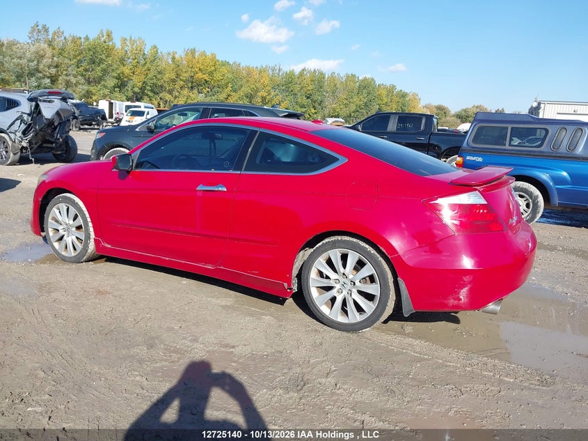  Accord Ex-L V6