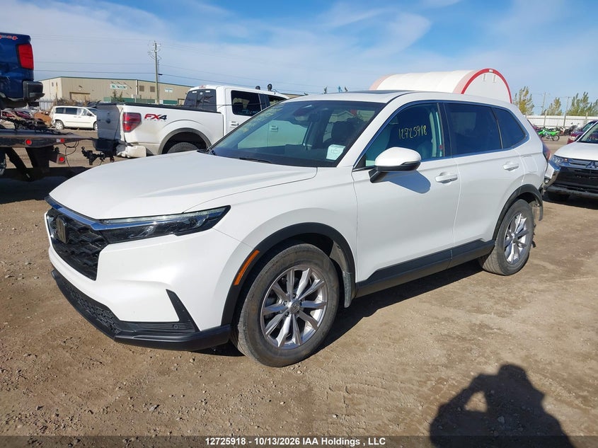 Vin: 2hkrs4h77ph100734, lot: 3133414, honda cr-v ex-l 20232