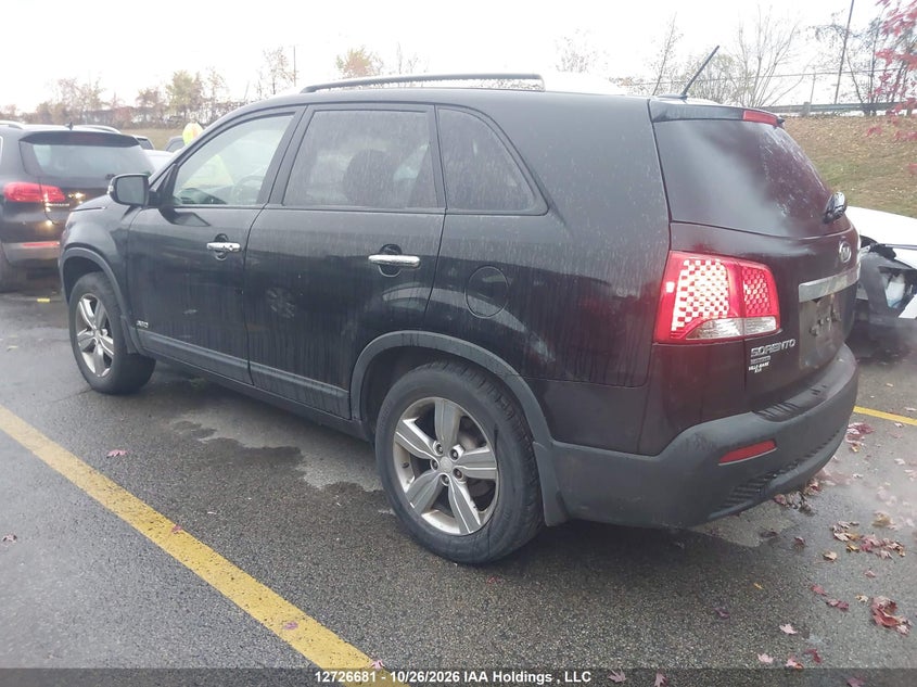 Vin: 5xykuca69dg379856, lot: 3134252, kia sorento ex 20133