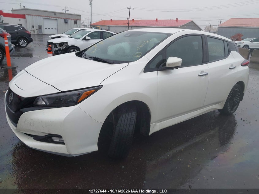  Leaf Sv/Sv Plus