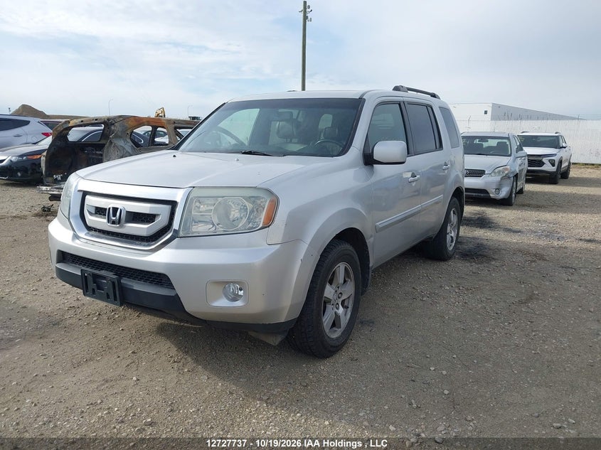 2009 Honda Pilot Exl, Удар сзади, IAAI, VIN 5FNYF48519B500966 — фото 2