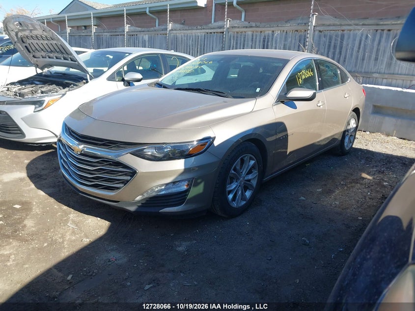 Vin: 1g1zd5st7pf228383, lot: 3135729, chevrolet malibu 1lt 20232