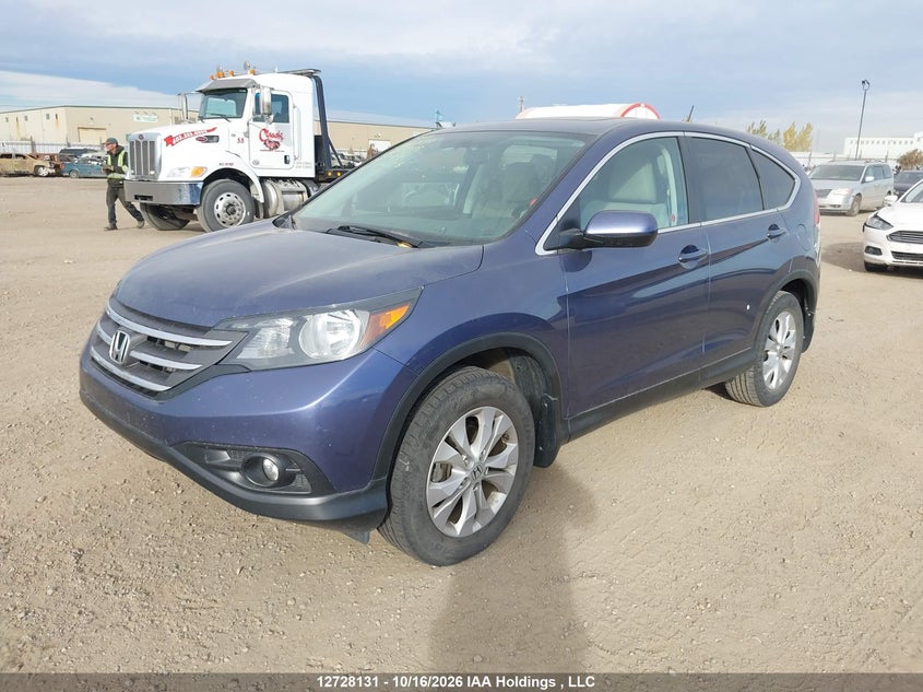 2013 Honda Cr-V Ex, Rear, IAAI, VIN 2HKRM4H57DH122009 — photo 2