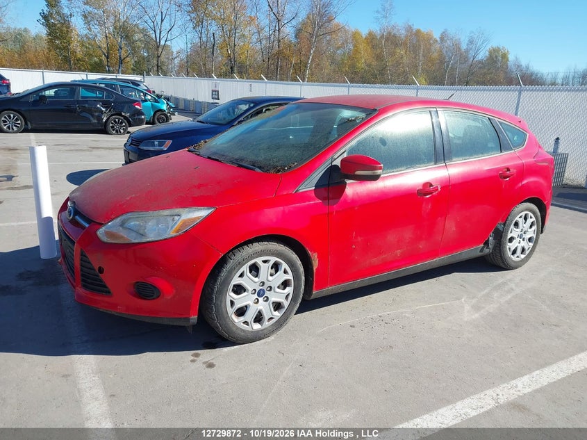 Vin: 1fadp3k28dl322263, lot: 3137644, ford focus 20132