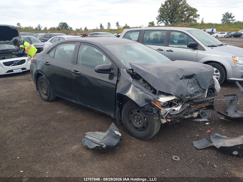 Vin: 2t1burhe9fc396428, lot: 3138033, toyota corolla le 2015 img_1