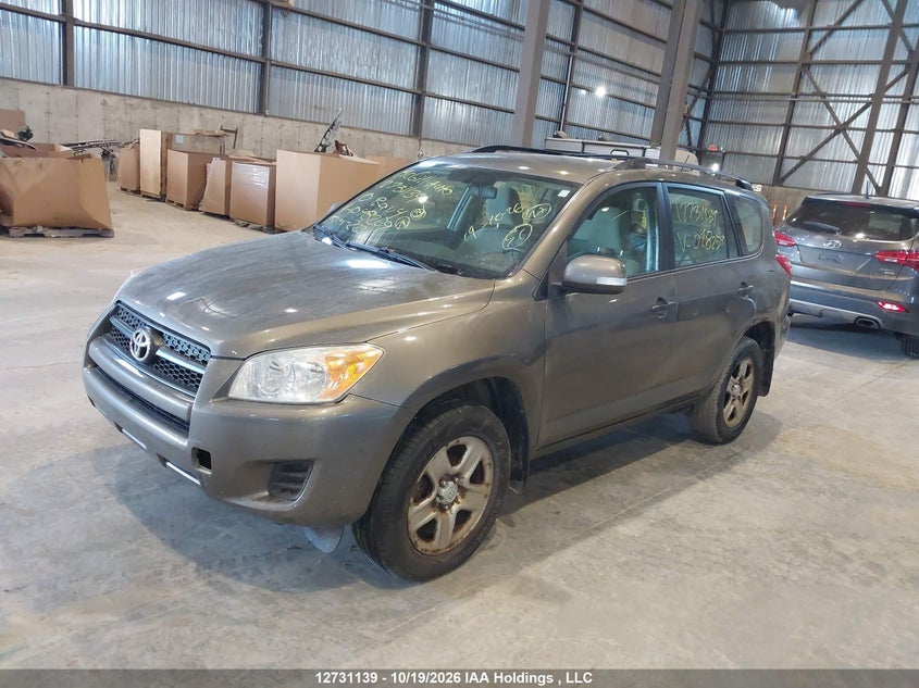 Vin: 2t3bf4dv2aw048259, lot: 3139025, toyota rav4 20102