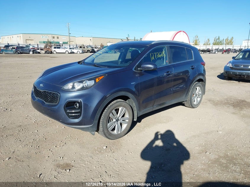 2019 Kia Sportage Lx, Rear, IAAI, VIN KNDPMCAC9K7535691 — photo 2