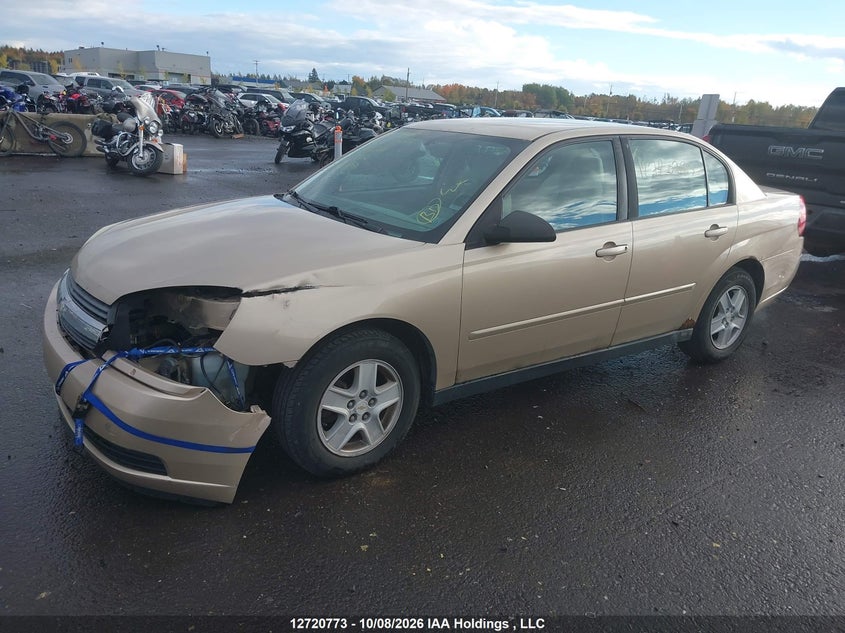 2005 Chevrolet Malibu Ls, Front, IAAI, VIN 1G1ZT52825F172204 — photo 2
