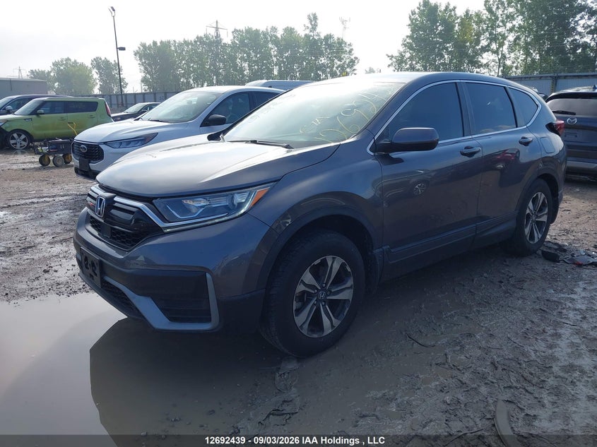 Vin: 2hkrw2h24mh211993, lot: 3141883, honda cr-v lx 20212
