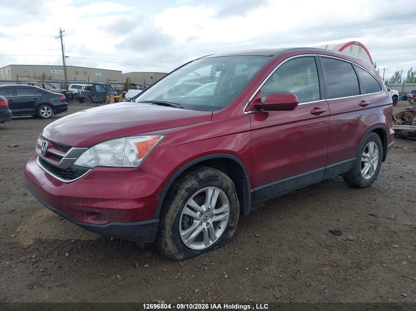 2010 Honda Cr-V Ex, Правый бок, IAAI, VIN 5J6RE4H5XAL818166 — фото 2