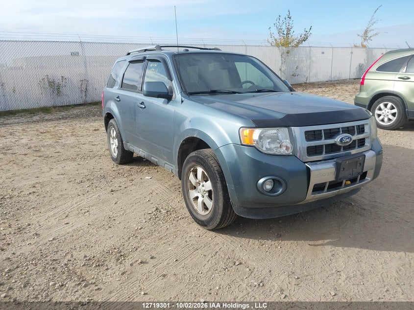 Vin: 1fmcu9eg1bkc68117, lot: 3142085, ford escape limited 2011 img_1